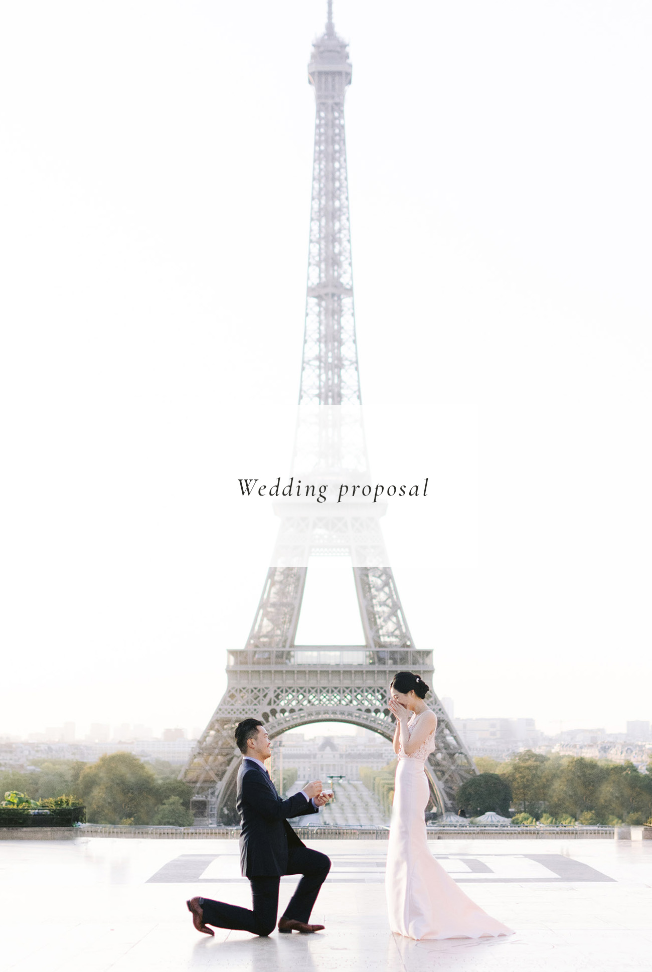 Wedding proposal in paris