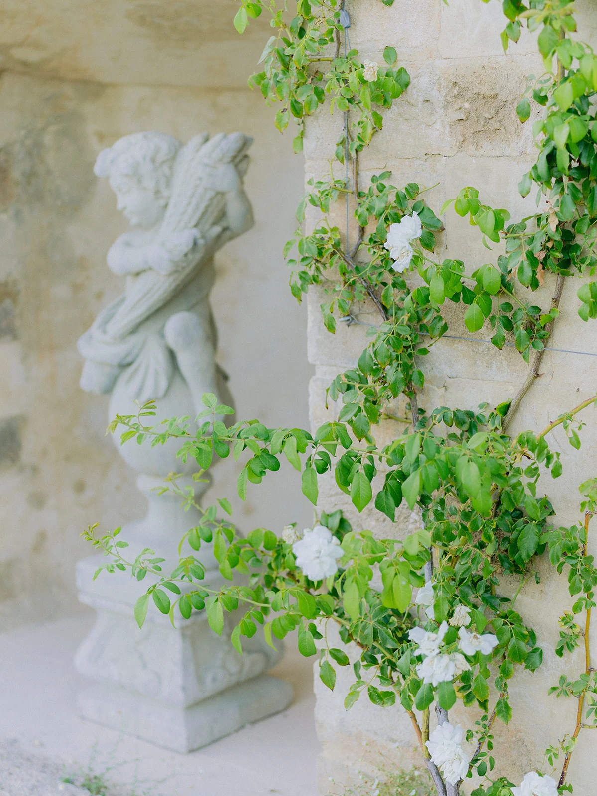 Landscaped garden and flowers at Château de la Gaude in Aix-en-Provence